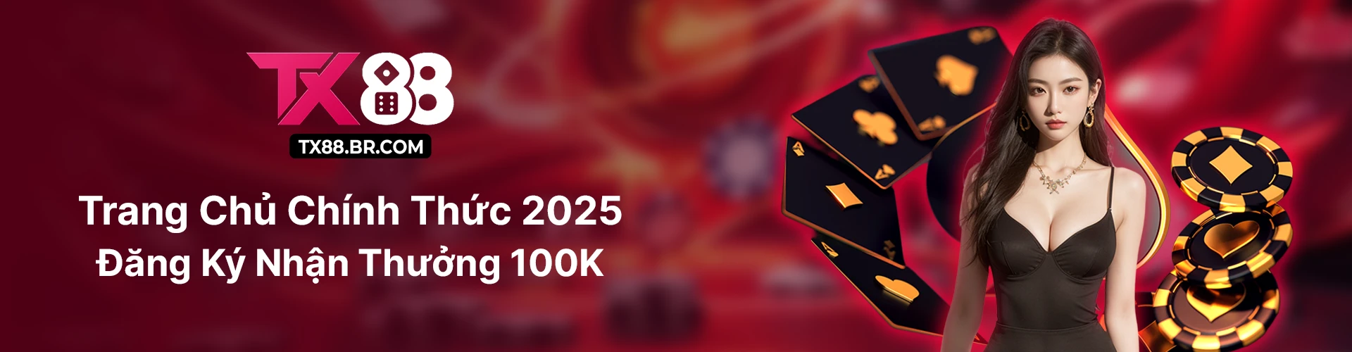 Banner Tx88