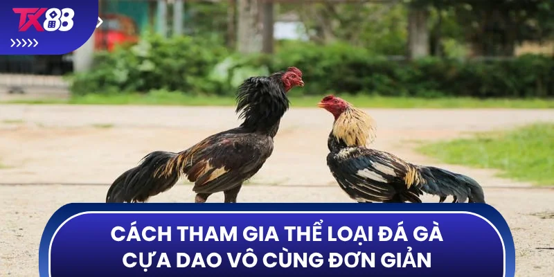 Cách tham gia thể loại đá gà cựa dao vô cùng đơn giản