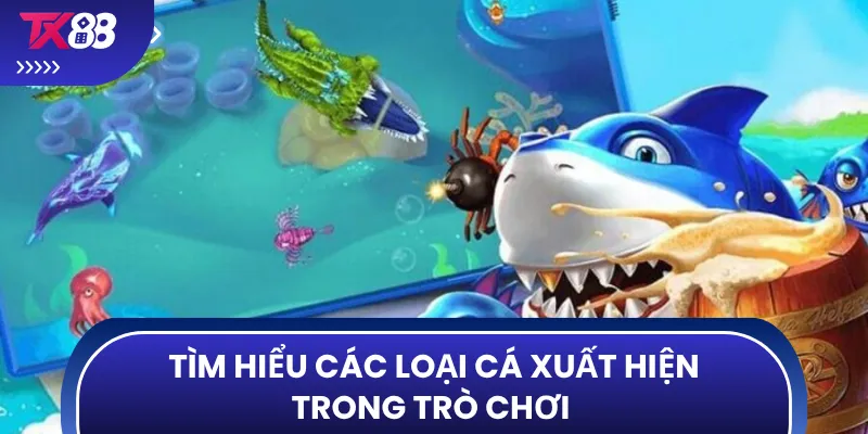 Tìm hiểu các loại cá xuất hiện trong trò chơi